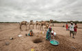 L'UNICEF et le PAM répondent aux besoins des personnes touchées par la sécheresse au Somaliland et au Puntland