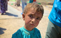 Iraq: Unos 3,6 millones de niños en Iraq pueden ser víctimas de violencia, advierte UNICEF
