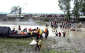 ONU responde con asistencia humanitaria a la crisis de refugiados Rohingya en Bangladesh