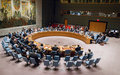  le Conseil de sécurité proroge de neuf mois le mandat de la mission de l'ONU