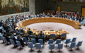 Consejo de Seguridad reitera llamado a permitir la entrada de asistencia humanitaria a Siria