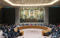 مجلس الأمن يرحب بتحسن الأوضاع الأمنية والإنسانية في دارفور