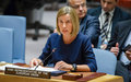 EU an ‘indispensable’ UN partner, working for rules-based international order, Security Council told
