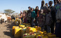 As new drought hits Ethiopia, UN urges support for Government's 'remarkable' efforts
