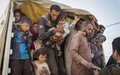 ACNUR fletará 7.200 tiendas de campaña para asistir a refugiados de Mosul