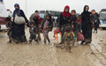 Coordinadora humanitaria para Iraq alerta sobre desplazamiento masivo en Telafar