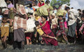536 ألف روهينجي فروا من ميانمار خلال شهر ونصف، واستمرار وصول المساعدات إلى بنغلاديش