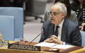 Libye : la relance du processus politique redonne espoir à un pays « atomisé » par des « agendas concurrents » (ONU)